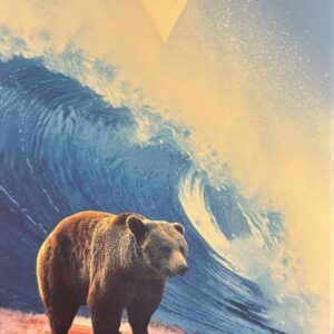 Compartes Chocolate 'California Dreaming' with 67% Dark Chocolate Brownies. Front Packaging with bear on surfboard riding a big wave.